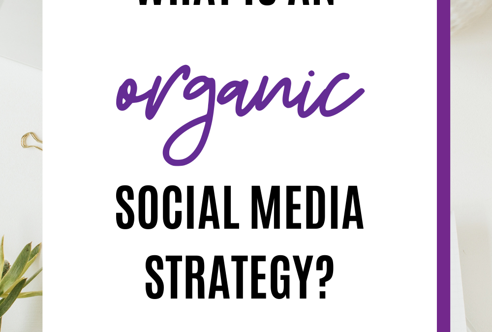 What is an organic social media strategy?
